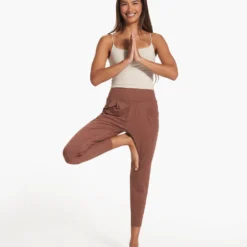 Lux At Ease Pant | Hazelnut Heather -Fashifyer Sales Store VW427HHZ FA23 W ECOMM PANTS FULL 2